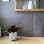 Emma شقة دريسدن