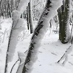 شقة Emma دريسدن