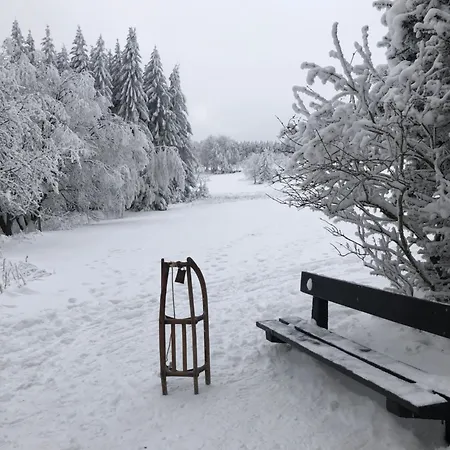 Διαμέρισμα Emma Δρέσδη