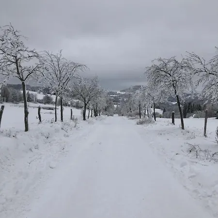 Διαμέρισμα Emma Δρέσδη