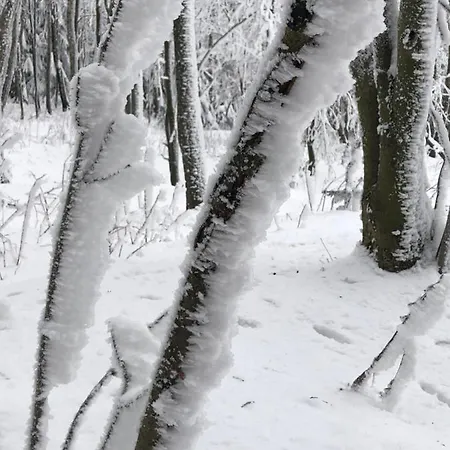 Appartement Emma Dresden