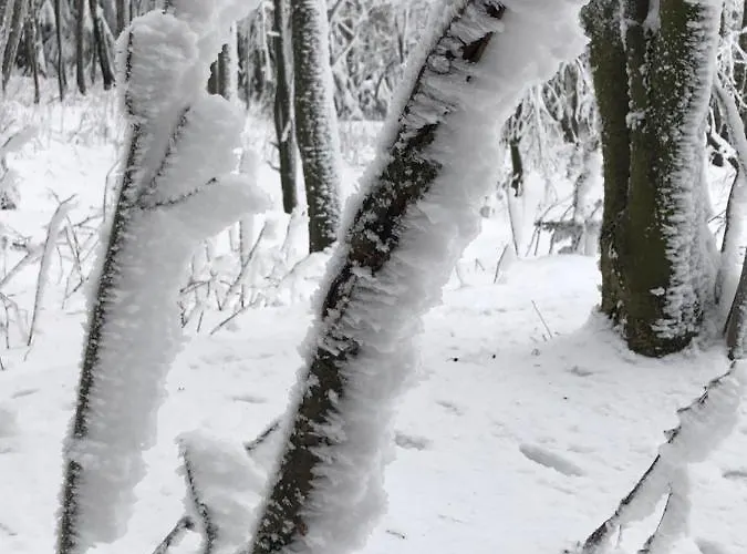 Apartamento Emma Dresden